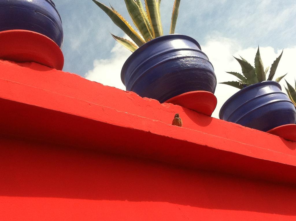 Riad Kalinka Lotus Marrakesh Eksteriør billede